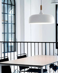 Whimsy Pendant Lamp