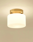 Golden Flush Mount Ceiling Lamps