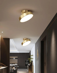 Golden Rotating Ceiling Lamp